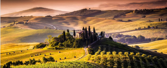 Read more about the article 业内人士对Tagetik评价